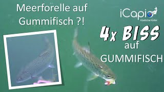 Meerforelle auf Gummifisch?! - iCapio Fangtastics mit Geruchskapseln