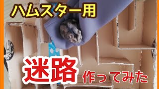 【DIY】ハムスターの迷路をダンボールだけで作りました！最後に面白い