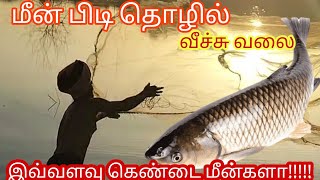 வீச்சு வலை மீன் பிடித்தல்| net fishing techniques #fishing #hunting #fish #aajeedhsalman