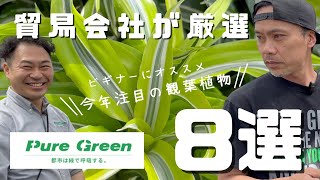 【PURE GREEN】これ知ってる？《今年の流行》ビギナーでも簡単に育てられる観葉植物8選/株式会社山田農園