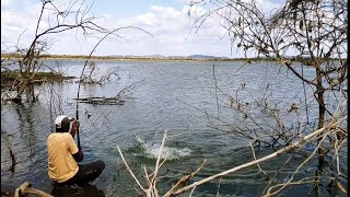 River Fishing 🎣 Fisher man Catching BiG ROHU and Black Rohu Fishes Catch With Single Hook