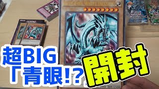 【遊戯王】超でっかい「青眼」カード封入！海外限定「海馬」コレクターズボックスを開封！ /Kaiba's Collector box opening