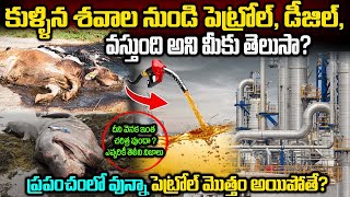 How Petrol is Formed in telugu | How Petroleum Is ExtractedFrom sea | పెట్రోల్ ఎలా తయారు చేస్తారు?