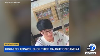Brazen high-end apparel thief caught on camera at Glendale store