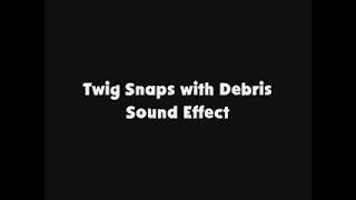Twig Snaps with Debris SFX
