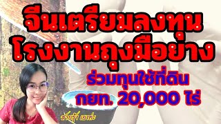 ข่าวดี!จีนเตรียมลงทุนโรงงานถุงมือยางพาราในประเทศไทย