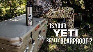 Is a YETI Cooler Actually Bear Safe? - Grizzly Bear Resistant Cooler