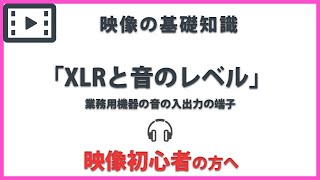 「XLRと音のレベル」 映像の基礎知識#22