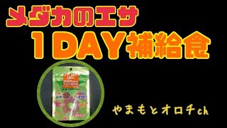 メダカのエサ １DAY補給食を買ってみた