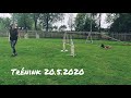 agility trénink 20.5.2020