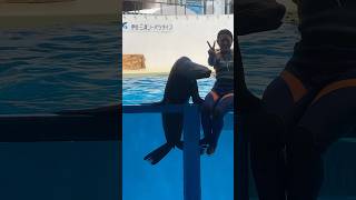 笑顔が素敵なカリフォルニアアシカとお姉さん　三津シーパラダイス　Smiling California sea lion