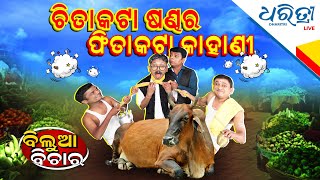 ଚିତାକଟା ଷଣ୍ଡର ଫିତାକଟା କାହାଣୀ  |  BILUA BICHARA  |  Dharitri Live