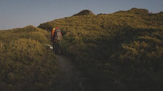 2021秋，與朋友前往大霸尖山 | Hiking with friends to Papak Waqa