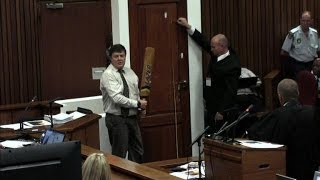 Pistorius court shown damaged door from crime scene