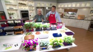 Miracle-Gro Aerogarden Metallic Harvest 6-Pod Garden on QVC