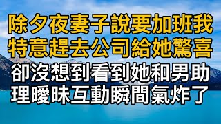 “你能取代在我心裡地位嗎？”除夕夜妻子說要加班我特意趕去公司給她驚喜，卻沒想到看到她和男助理曖昧互動瞬間氣炸了！一口氣看完 ｜完結文｜真實故事 ｜都市男女｜情感｜男閨蜜｜妻子出軌｜楓林情感