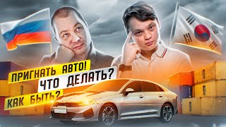 Авто из Кореи, как пригнать? Интервью. Сергей Лисецкий директор филиала SK TRADING.