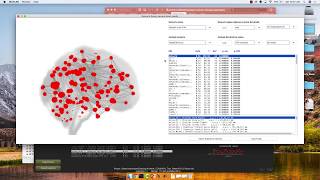 UMass Amherst CONN Workshop, Part 5: Group-Level Analysis