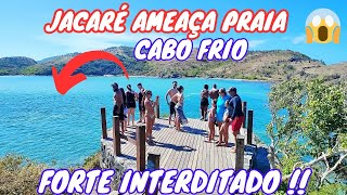 ♥️💙 CABO FRIO 🚨 JACARÉ PERTO DA PRAIA DO FORTE ☀️ HOJE 23/02/25🇧🇷