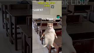 Siapa di sini yang anak sekolahan coba apsen😸 #meme #memes #viralvideo #viralshorts