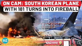 South Korea Plane Crash: Chilling Video Of Jeju Airlines Flight Crashing On Runway; Dozens Dead