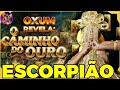 ESCORPIÃO ♏️ URGENTE! VAI ACONTECER EM 72HS OXUM FALA TUDO! #tarot #escorpião #pickacard #horoscopo