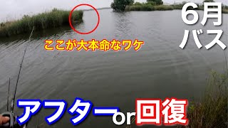 【５月下旬のバス】中途半端な季節感。バスの状態をどう読んで、どう攻略するのか？【水の旅＃ １４４】