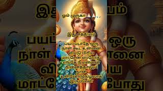 ஓம் முருகா🙏🏻#lordmuruga#tamil#hindudeity#tamilkadavul#bakthitv#murugangod#கந்தர்#ஆறுபடை#god#song#om