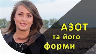 Азот та його форми як важлива складова врожайності [GrowEx]