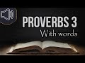 The book of Proverbs - chapter 3 KJV | Audio Bible