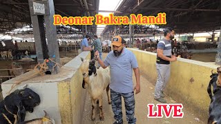 Deonar Bakra Mandi Live Updates|10 January 2025| Asim Bhai Ke Sat Deonar Me | Shah Fazal Bantam king