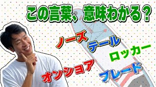 知らないと恥ずかしいサップ用語11選