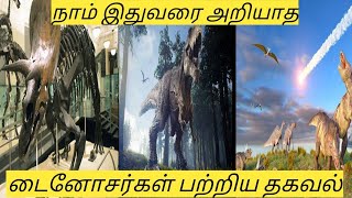 நாம் இதுவரை அறியாத டைனோசர்கள் பற்றிய தகவல்|Brothers Videos|BV