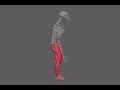 3d model reconstructing the lower limb muscles of fossil al 288–1