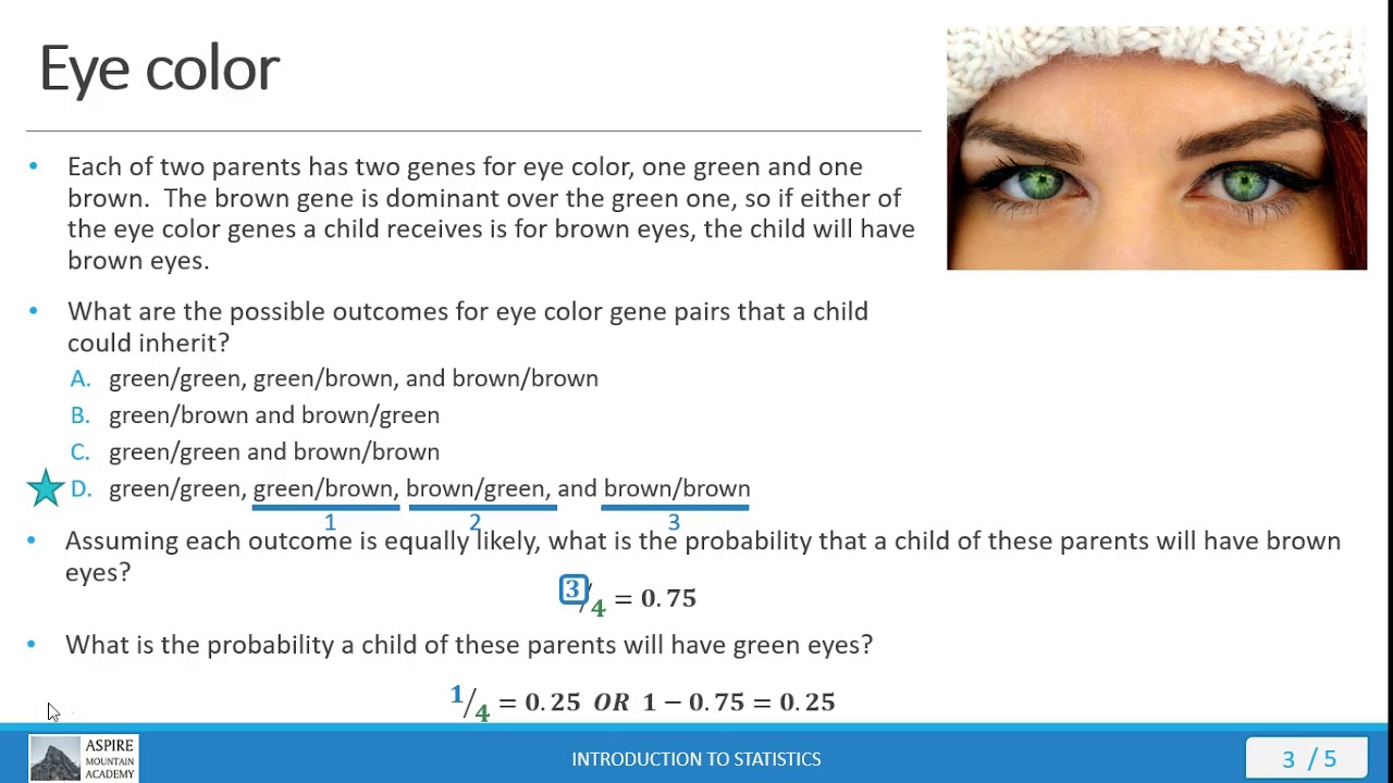 Stat 101 Lecture 4 1 3 Youtube