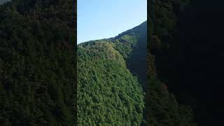 雲辺寺ロープウェイ上り