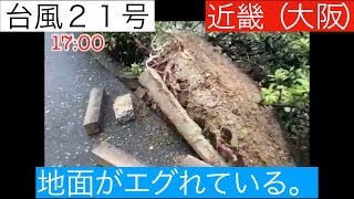 近畿（大阪）台風２１号の通過後の様子(ほりこ編）