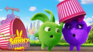 Al escondite | Las Aventuras de Sunny Bunnies | Dibujos para niños