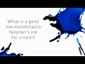 What Is A Good Low Maintenance Noodler's Ink For A Noob? - Q&A Slices