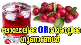 ലോലോലിക്ക അല്ലെങ്കിൽ ശീമനെല്ലിക്ക ഗുണങ്ങൾ | Benefits of Cranberry (Lololikka ) |  TASTY WORLD