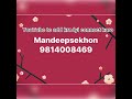 ਸ਼ੋਅ ਕਵਾਲਟੀ ਦੀ ਨੁੱਕਰੀ ਵੇਸ਼ਰੀ ਸੇਲspotless nukre filly mandeepsekhon