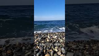 今日の糸魚川ひすい海岸は翡翠採集日和でした。心地の良い波の音を聞いて欲しい。#shorts