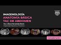 TAC DE ABDOMEN - ANATOMÍA RADIOLÓGICA BÁSICA