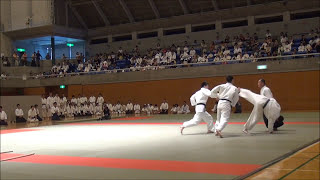 安藤毎夫師範　演武　第24回浦安市合気道演武大会　  24th Annual Urayasu City Aikido Demonstration: Tsuneo Ando Shihan