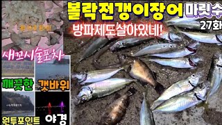 거제73방파제정복(27상유)전갱이볼락장어마릿수(느나)[캠추메:불족발떡복이]구이새꼬시참이슬까지~ft.자식농사