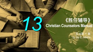 胜任辅导 Christian Counselors Manual 13