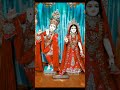 मेरो मन लगयो श्री वृन्दावन धाम राधाबल्लभ बांके_बिहारी radha krishna vrindavan bhakti bhajan