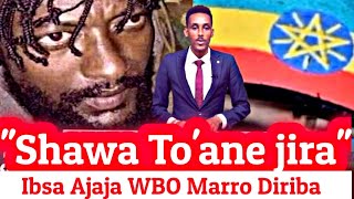 OMN:ODDU AMME - Shawa To'ane Jiraa'', Jechun Ajajan WBO Jaal Marro Diriba Beeksise ||Moha Oromo