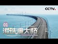 《港珠澳大桥》世界上最长的跨海大桥！斥资1200多亿 它究竟有多厉害？【CCTV纪录】