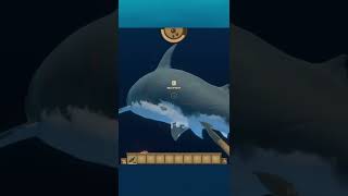 101 Raft Tips: #13: Shark Divng